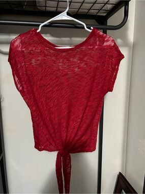 Discreet Red Sheer Tie-Front Crop Top